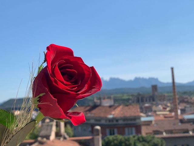 Feliç Sant Jordi 🌹📚

#donesemprenedores #santjordi #donesinnovadores #donesmanresa #deim #donesempresaries #emprenedoria #manresa #juntessommesfortes